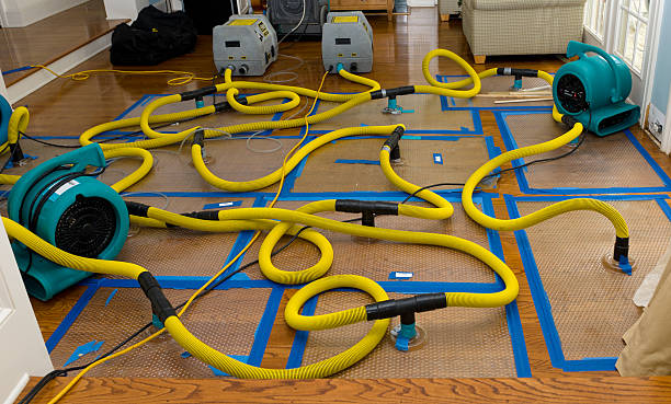Professional Crawl Space Water Removal technician working in Highland Park, IL
